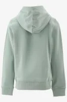 Calvin Klein Hoodie SMALL MONOGRAM HOODI
