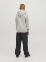 Jack&Jones Baggy ALEX