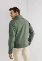 State of Art Zomerjas