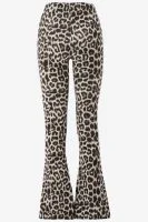 Catwalk Junkie Bootcut