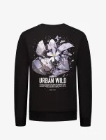 Ballin Sweater