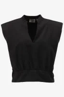 Another-Label Top INDRA