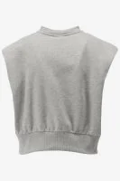 Another-Label Top INDRA