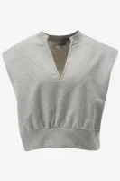 Another-Label Top INDRA