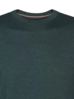 Petrol T-shirt - productfoto