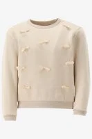 Someone Sweater BONJOUR - productfoto