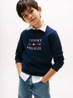 Tommy Hilfiger Sweater TOMMY
