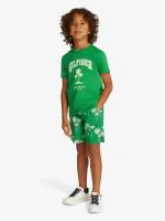 Tommy Hilfiger T-shirt HILFIGER