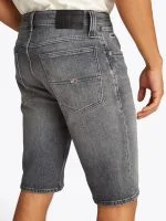 Tommy Hilfiger Short RONNIE