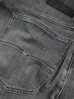 Tommy Hilfiger Short RONNIE