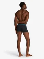 Tommy Hilfiger Underwear 3P