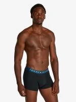 Tommy Hilfiger Underwear 3P