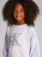 Calvin Klein Sweater METALLIC