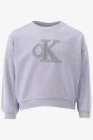 Calvin Klein Sweater METALLIC