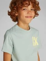 Calvin Klein T-shirt CHEST