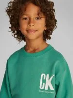 Calvin Klein Sweater SUMMER