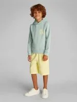 Calvin Klein Hoodie CHEST