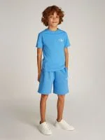 Calvin Klein T-shirt CHEST