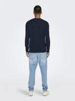 Only & Sons Trui LOUI - productfoto