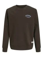 Jack&Jones Sweater BRANDES - productfoto