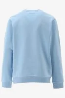 Indian Blue Sweater