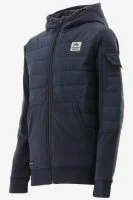 Indian Blue Tussenjas