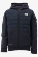 Indian Blue Tussenjas