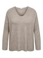 Only Carmakoma Trui IBI - productfoto