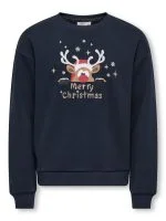 Only Sweater YDA LIFE - productfoto