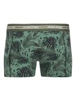 Jack&Jones Underwear EZRA LEAVES 3p