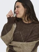 Only Carmakoma Trui NOEME - productfoto