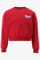Tommy Hilfiger Sweater
