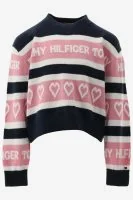 Tommy Hilfiger Trui