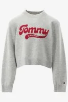 Tommy Hilfiger Trui