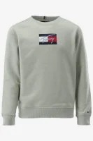 Tommy Hilfiger Trui