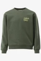 Calvin Klein Sweater