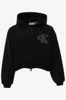 Calvin Klein Sweatvest