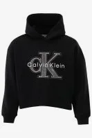 Calvin Klein Hoodie