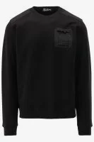 Malelions Sweater