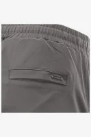 Malelions Chino