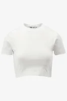 Malelions T-shirt
