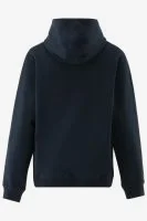 Malelions Hoodie