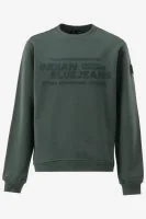 Indian Blue Sweater