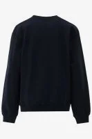 Indian Blue Sweater
