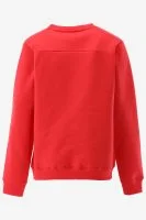 Indian Blue Sweater