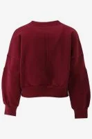 Indian Blue Sweater