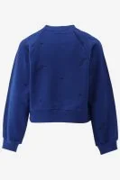 Indian Blue Sweater