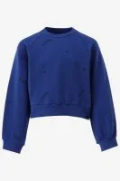 Indian Blue Sweater
