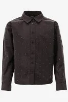 Indian Blue Blouse