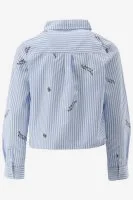 Indian Blue Blouse